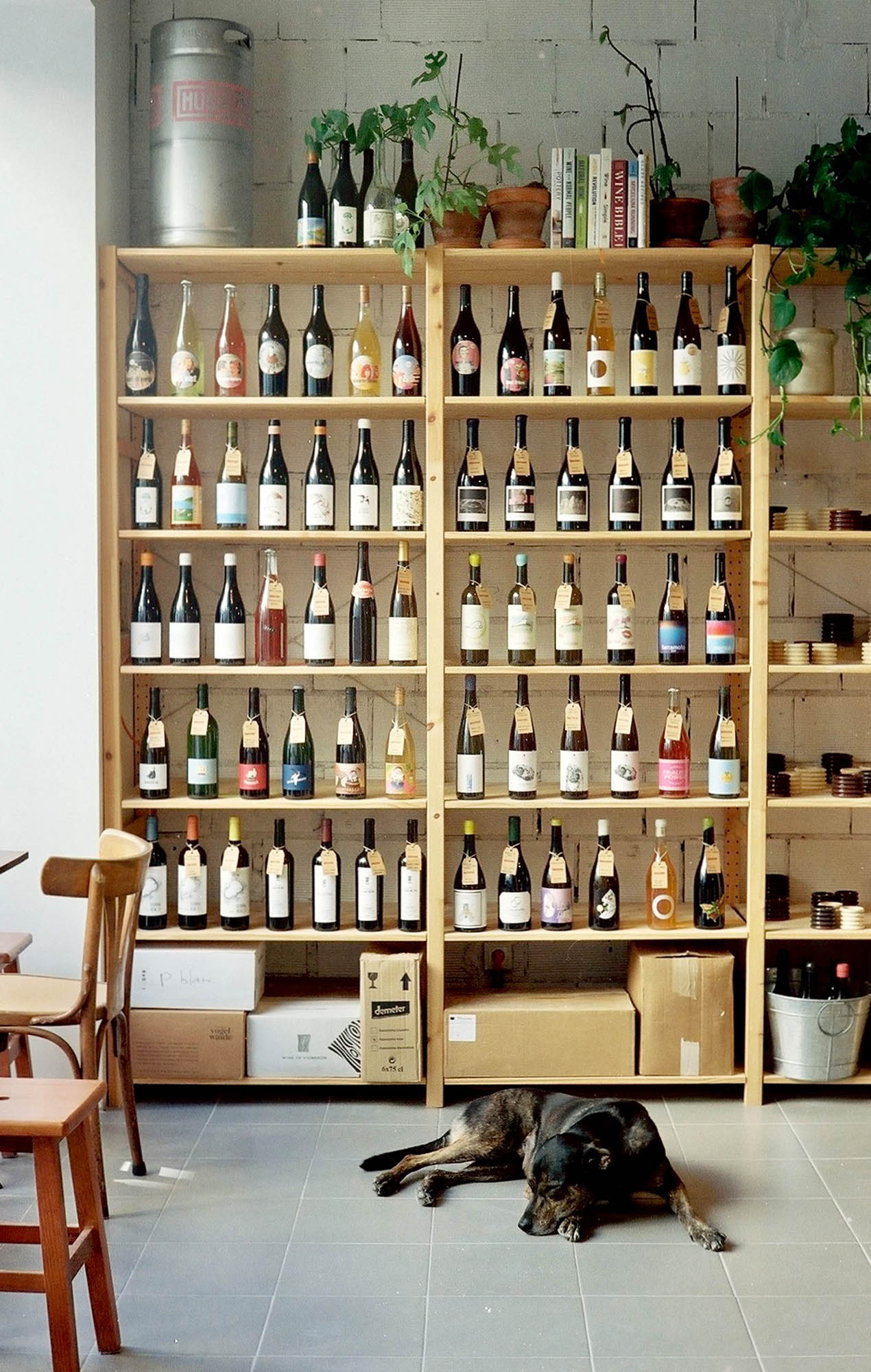 POTTERY WHEEL & WINE WORKSHOP IN LISBON, PORTUGAL