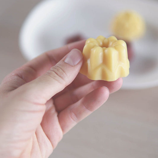 WORKSHOP DE CONDICIONADOR SÓLIDO ONLINE