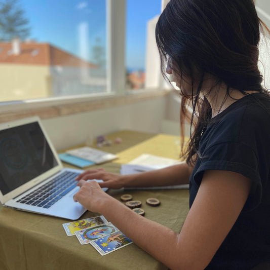 LEITURA DA REVOLUÇÃO SOLAR ONLINE