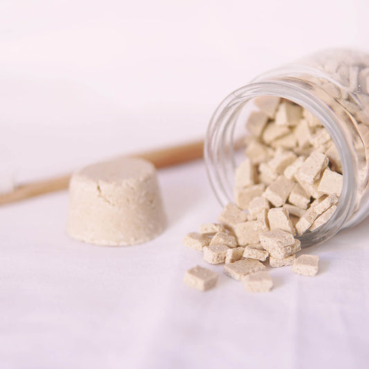 WORKSHOP DE PASTA DE DENTES SÓLIDA ONLINE