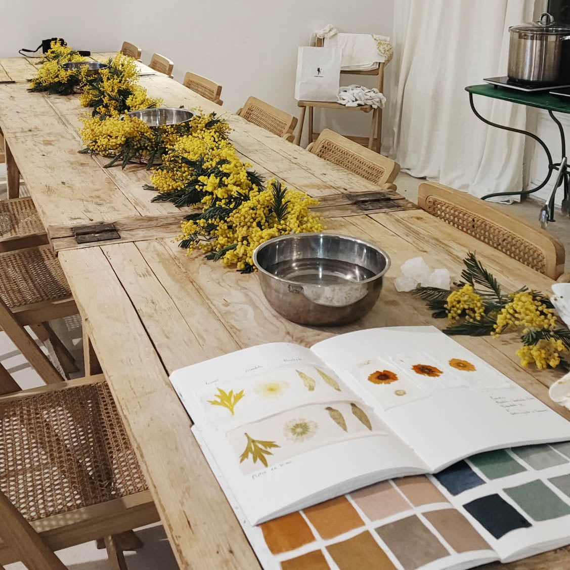 NATURAL DYE WORKSHOP IN MADRID, SPAIN