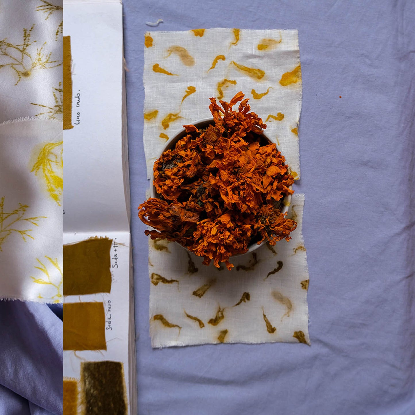 NATURAL DYE WORKSHOP IN MADRID, SPAIN