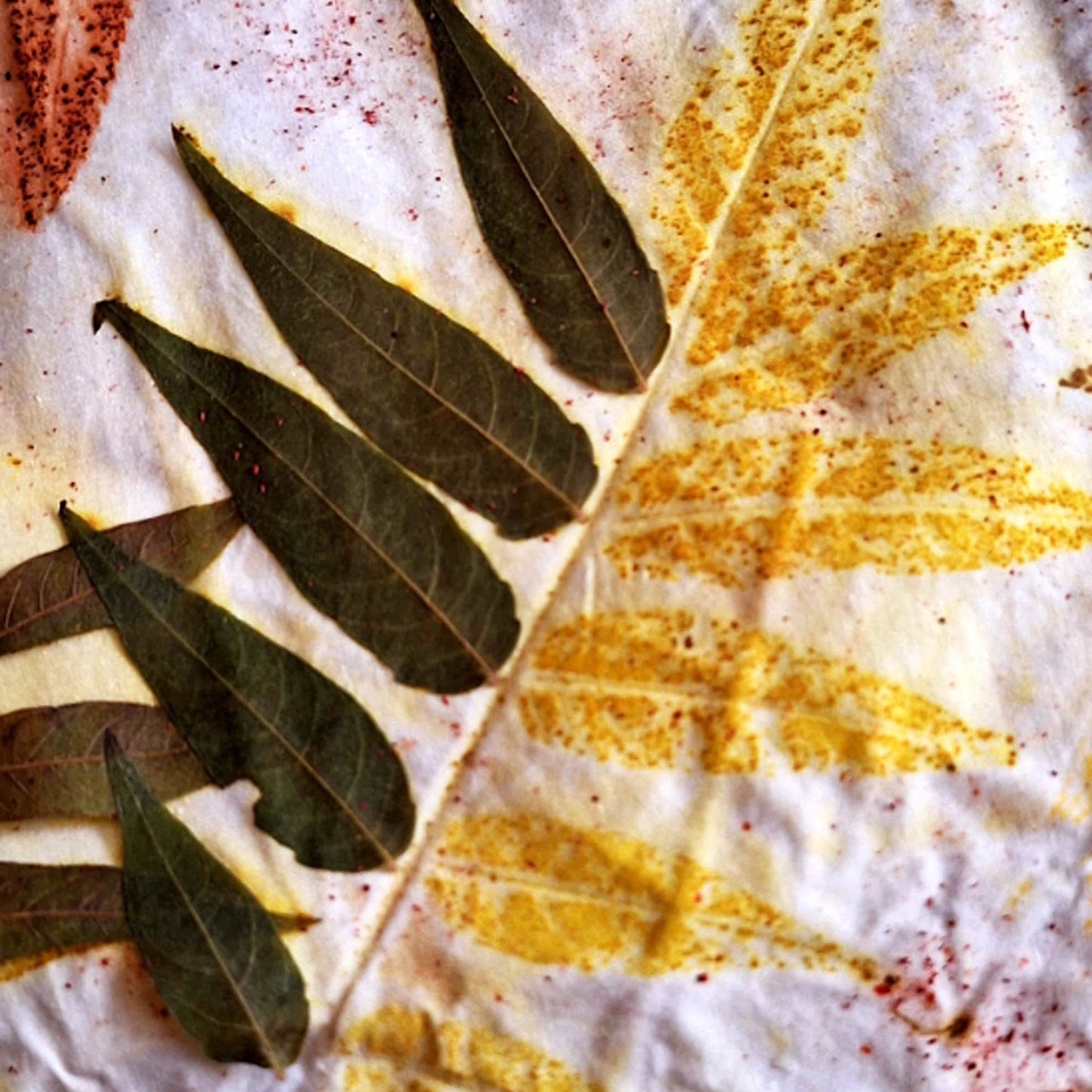 A close-up of pressed botanical leaves on textured white fabric, including dark green leaves and a yellowed leaf with speckled details.